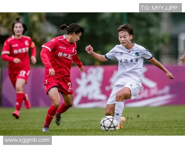 武汉羽毛球队速度之争引发热议球迷与专家观点交锋