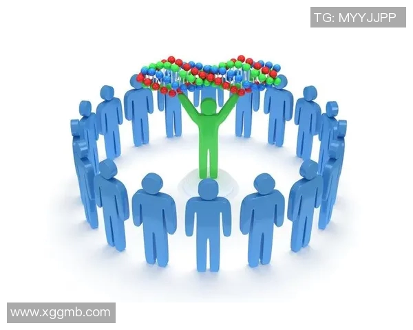 北京排球队配合表现数据分析揭示团队协作与胜率之间的关系