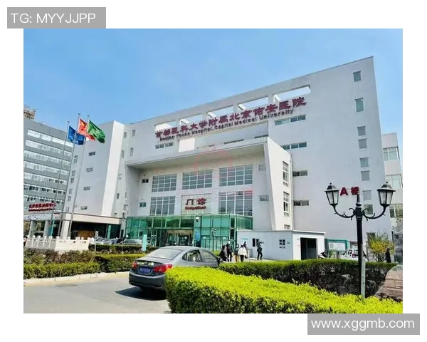 广州排球队的华丽转身与未来展望全景解析