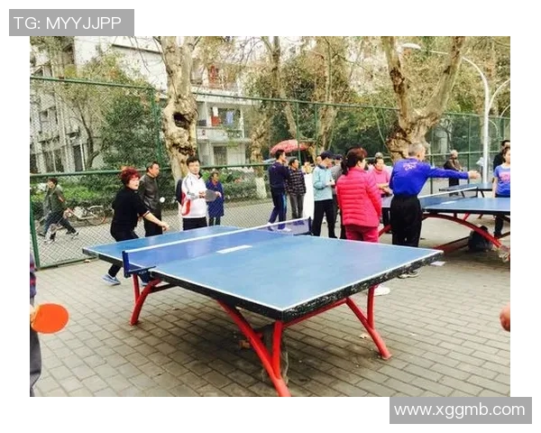 成都乒乓球队的奋斗历程与荣耀时刻全景回顾