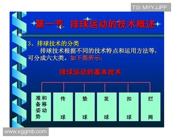 武汉排球队整体压制战术分析与战绩影响探讨