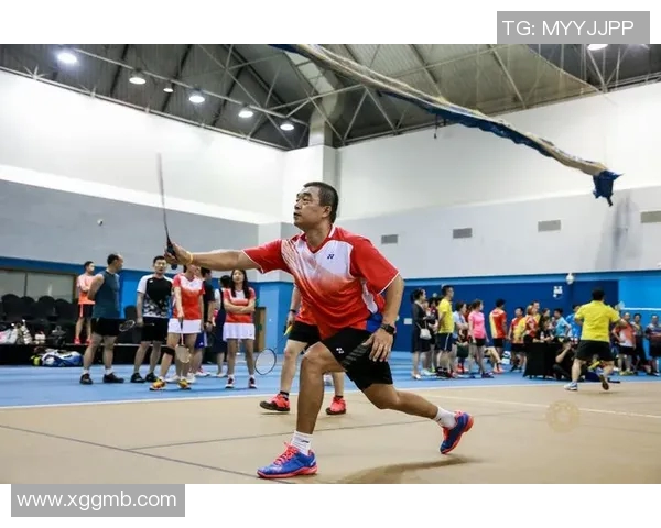 武汉羽毛球队在精英赛中的意识表现分析与总结