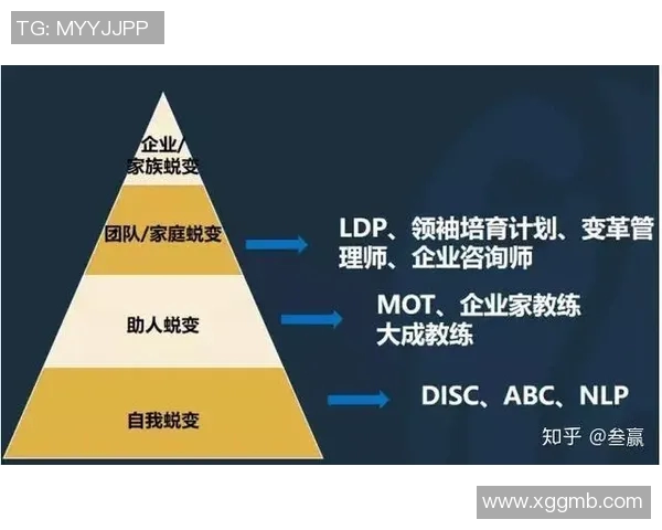 成都排球队的转型之路：从传统强队到现代化精英团队的蜕变与挑战